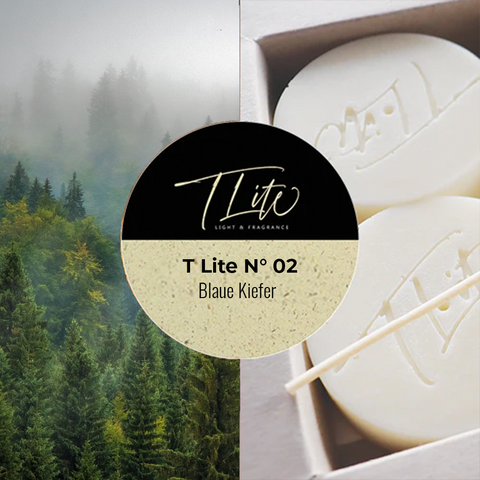 T Lite N° 02 | Blaue Kiefer
